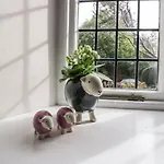 Tatil Evi Connie's Ambleside